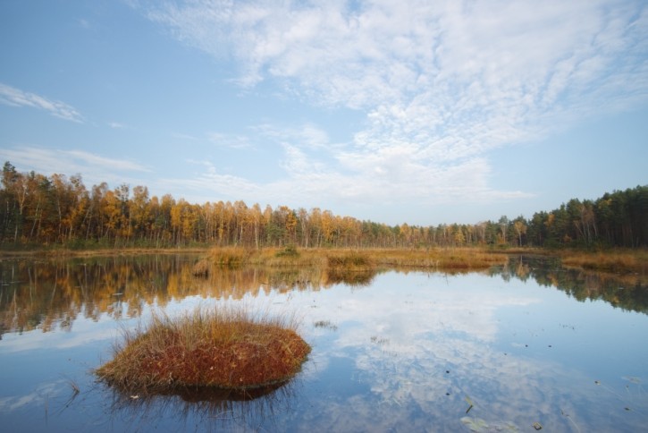 Uroczysko torfowisko 2