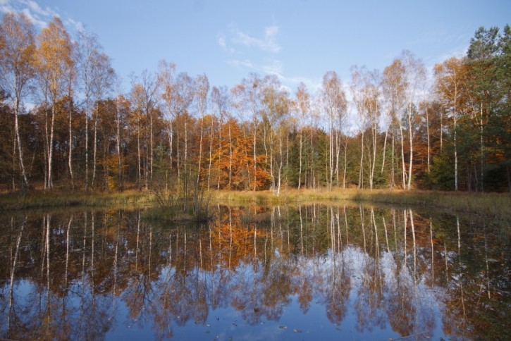 Uroczysko torfowisko