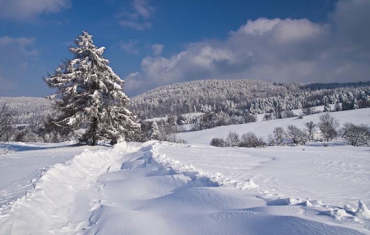 Zima marzeń