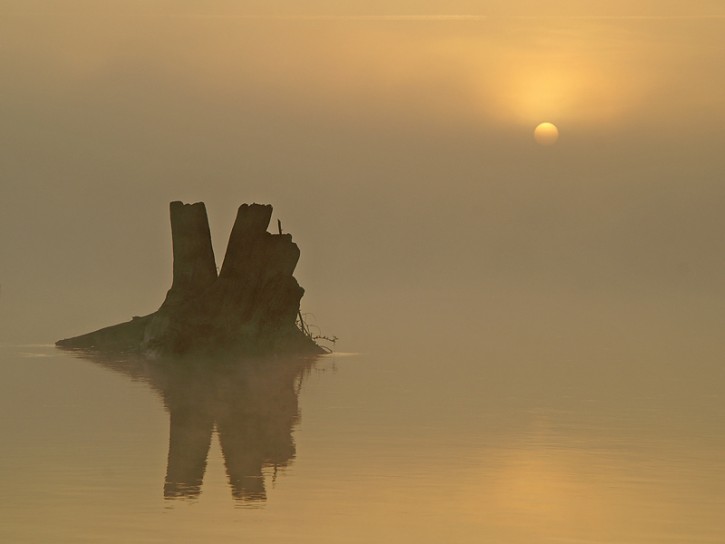 Wschód nad Wisłą