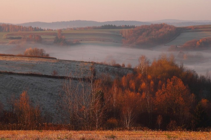 mgły poranne