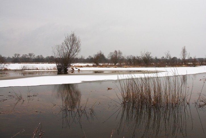 Poszukiwanie sztafażu