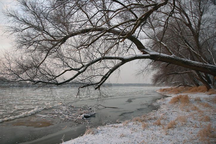 Powrót do Brańszczyka