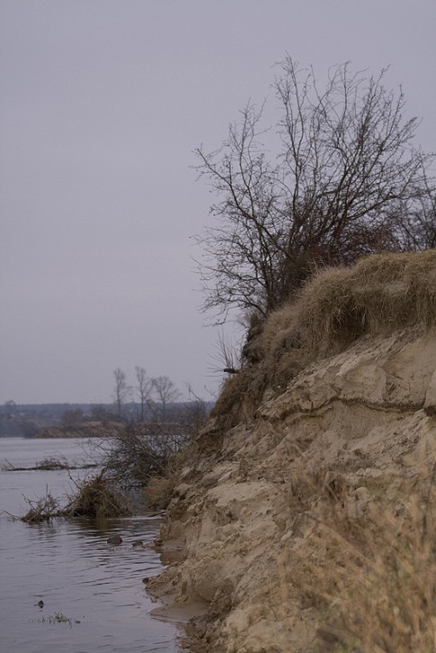 Dzika Wisła