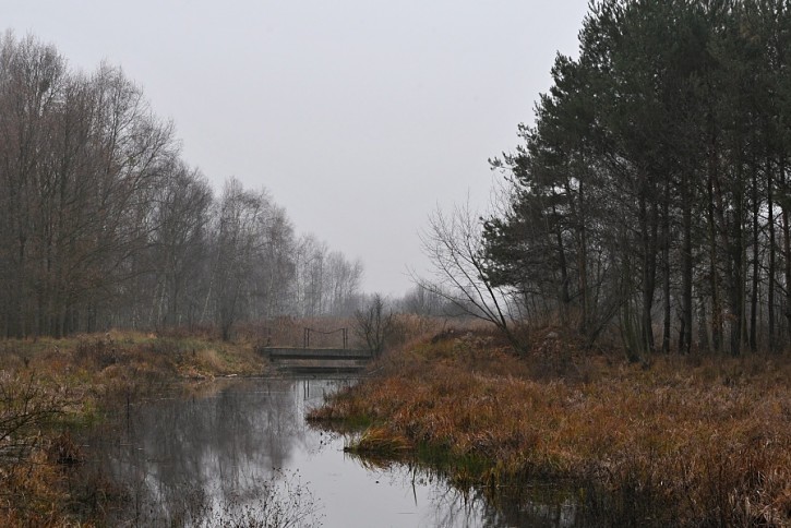 Plener nad Łasicą czyli gdzie jest mostek