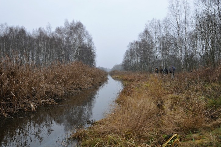 Plener nad Łasicą czyli gdzie jest mostek