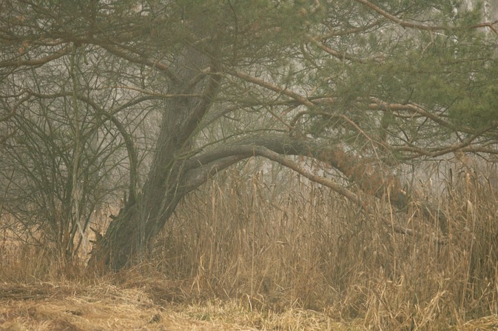 Dzień drugi, czyli gdzie jest łoś?