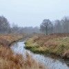 PLener nad Łasicą czyli gdzie jest mostek