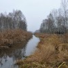 Plener nad Łasicą czyli gdzie jest mostek