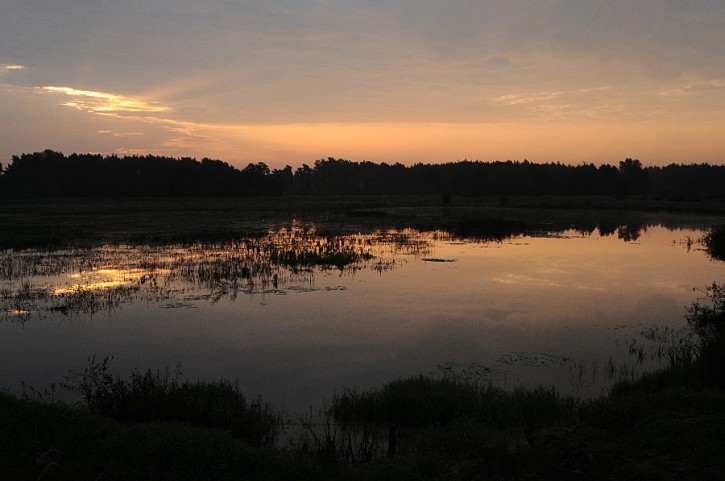 Poranek nad Wartą