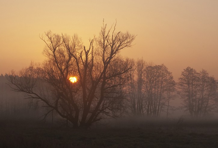 Dolina mgieł