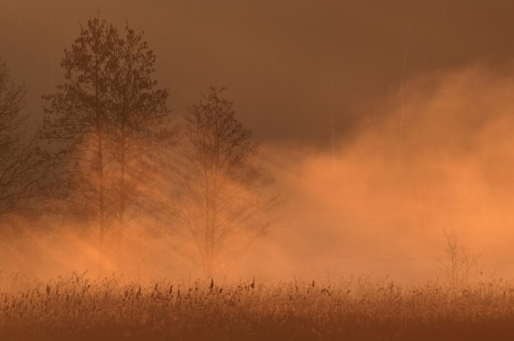 Dolina mgieł