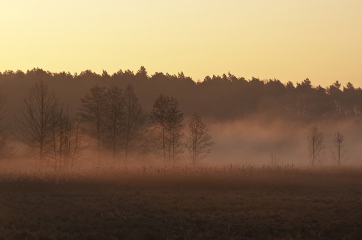 Dolina mgieł