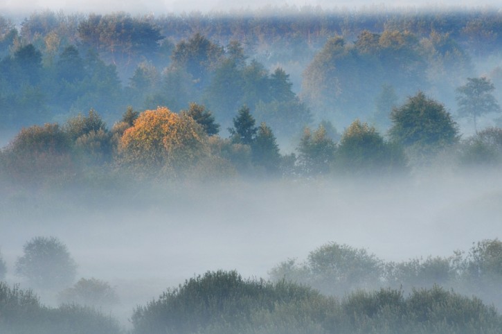 Mgły nad Liwcem