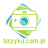 bzzyku - zdjęcie