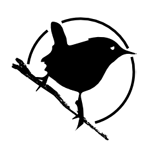 zimen - zdjęcie