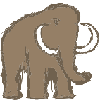 mamut - zdjęcie