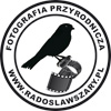 Radek - zdjęcie