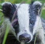 pawelpisz - zdjęcie