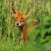 Ogólnopolski Konkurs Fotograficzny Najpiękniejsze Drzewo - ostatni post przez carrie